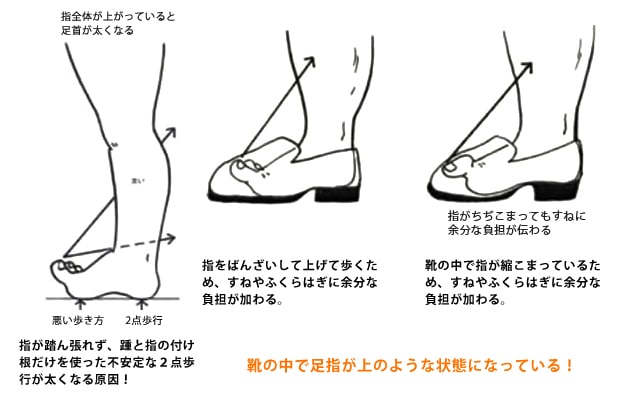太い脚鍛人 ちょっぴり寂しがり屋・笑
