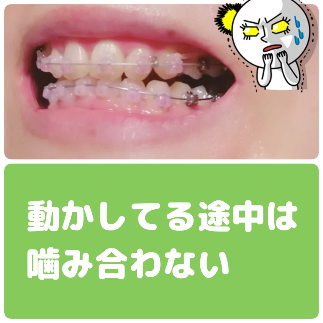 噛み砕くチョコレートクッキー歯列矯正器 - カットアウトのストックフォトや画像を多数ご用意 - カットアウト, クッキー, クローズアップ -iStock