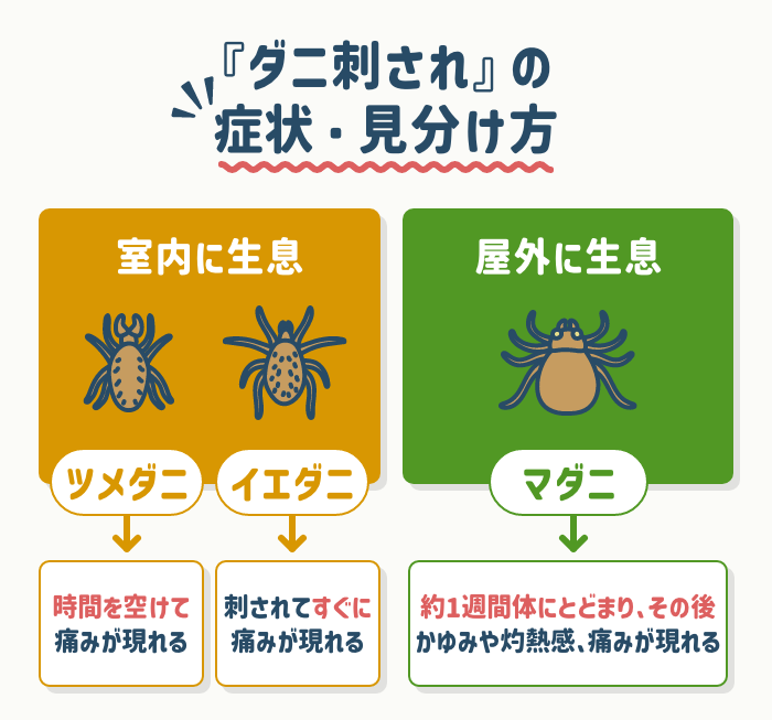 虫刺され』の症状・治療法 症例画像 田辺三菱製薬ヒフノコトサイト