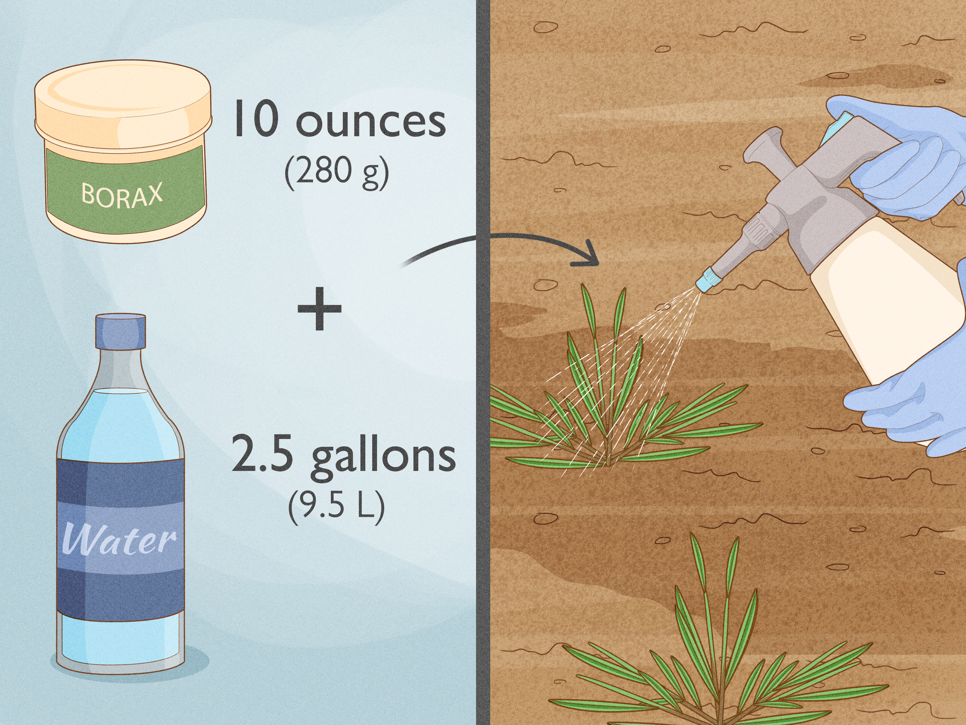 農業園芸用「クエン酸 無水 粉末」 時間指定不可・最短でのお届け クエン酸有機酸・食品加工材料たまごや商店