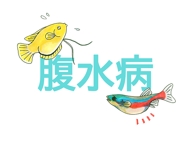 お腹が張って苦しい・腹部膨満の原因横浜市神奈川区横浜駅から徒歩３分、内視鏡検査なら横浜ベイクォーター内科・消化器内視鏡クリニック 横浜駅院