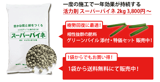 コバノトネリコ アオダモ の特徴と育て方 niwa_aodamo_03苗木部の部室 〜苗木、育てよう〜 By 花ひろばオンライン