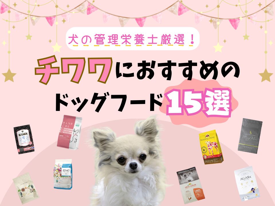 食べることが大好きなチワワ。肥満解消ダイエット法を紹介みんなのペットライフ