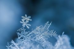 コンテスト入賞実績大阪で美容のプロを目指すならヴェールルージュ美容専門学校大阪・心斎橋