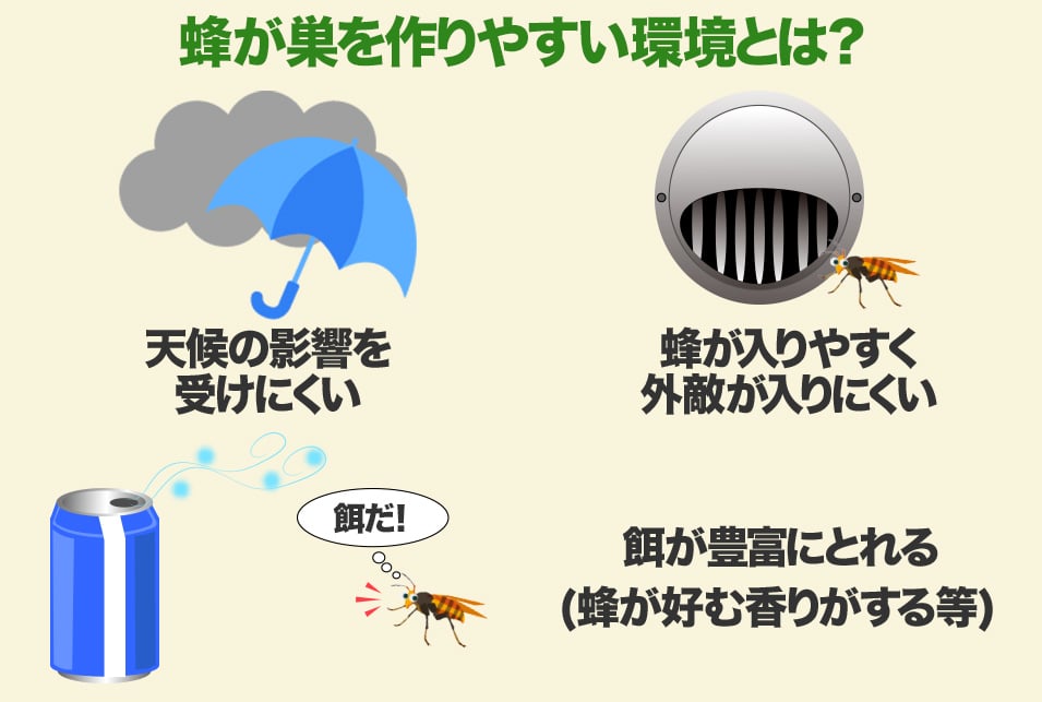 換気扇フードに蜂の巣！」四條畷市のスズメバチ駆除板倉敦司
