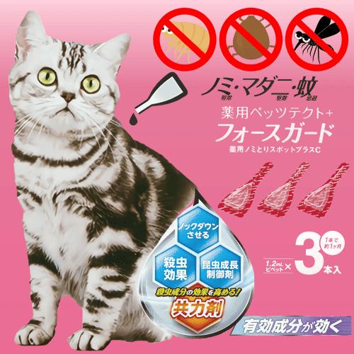 猫風邪の症状と原因、治療法についてペット保険のPS保険