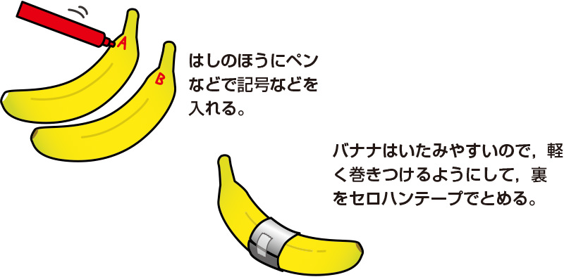 紫外線を知る自由研究してみませんか？①バナナ – 紫外線対策はエポカル