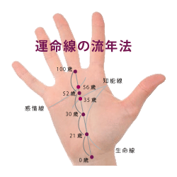 エレメント手相 手のひらの形×指の長さでわかる手相属性 「火地風水」どの性格になる？ - 占いTVニュース