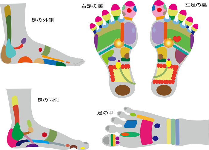 足反射区療法2