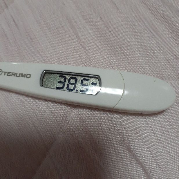 発熱した日の夜、何度測っても体温計は38度を超えた 女性のツイッターより、写真の一部を加工しています-「寝たら死んじゃうかも」20代母親のSOS PCR検査は陰性でも“疑い” - 写真・画像 1 1西日本新聞me