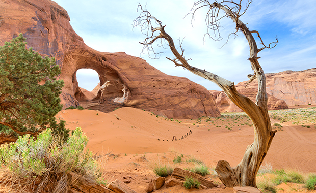 砂埃や粉塵を吸ってから咳が止まらない - 肺の病気・症状 - 日本最大級 医師に相談できるQ&Aサイト アスクドクターズ