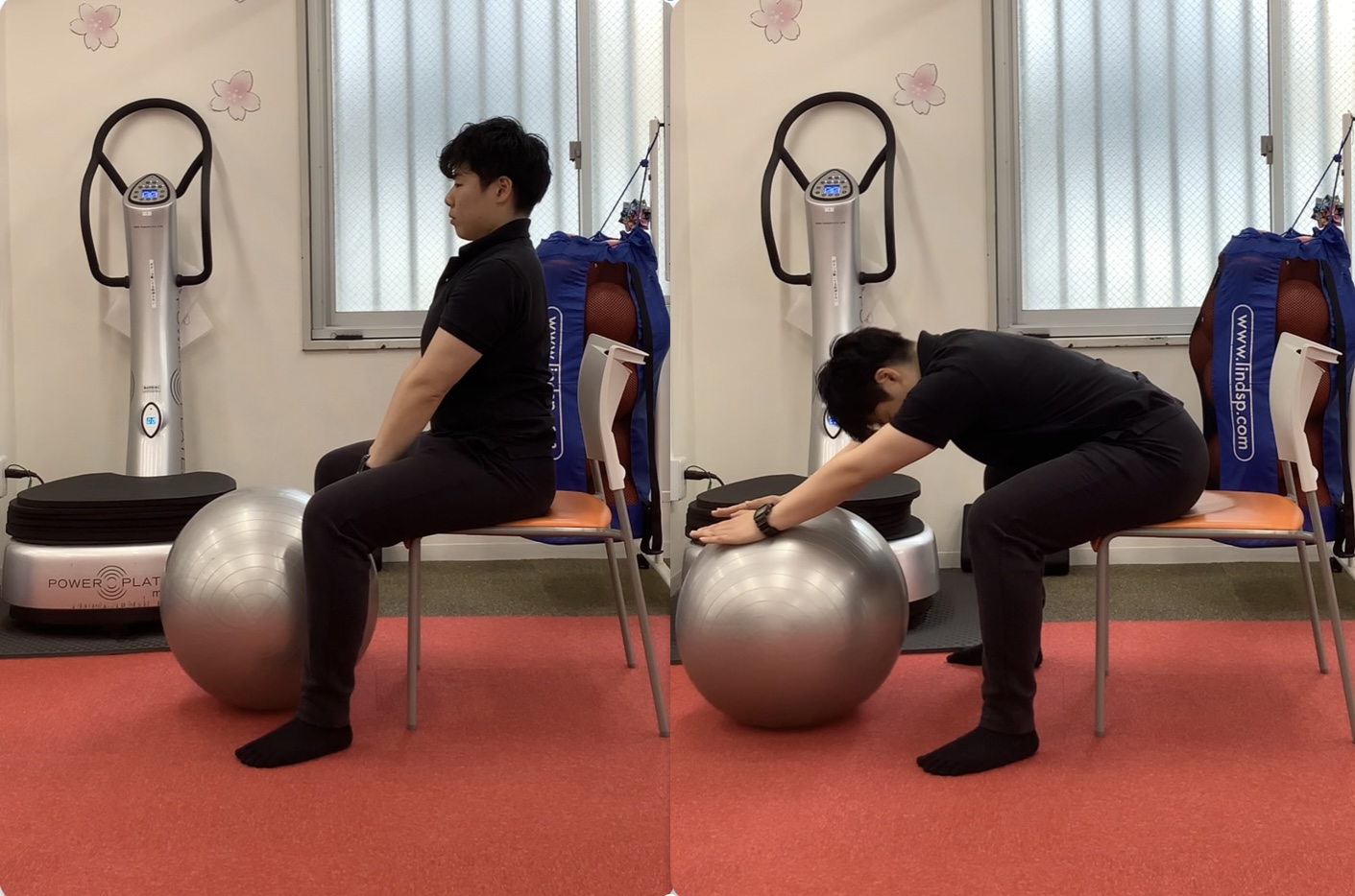 楽天市場 バランスボール 腰痛の通販