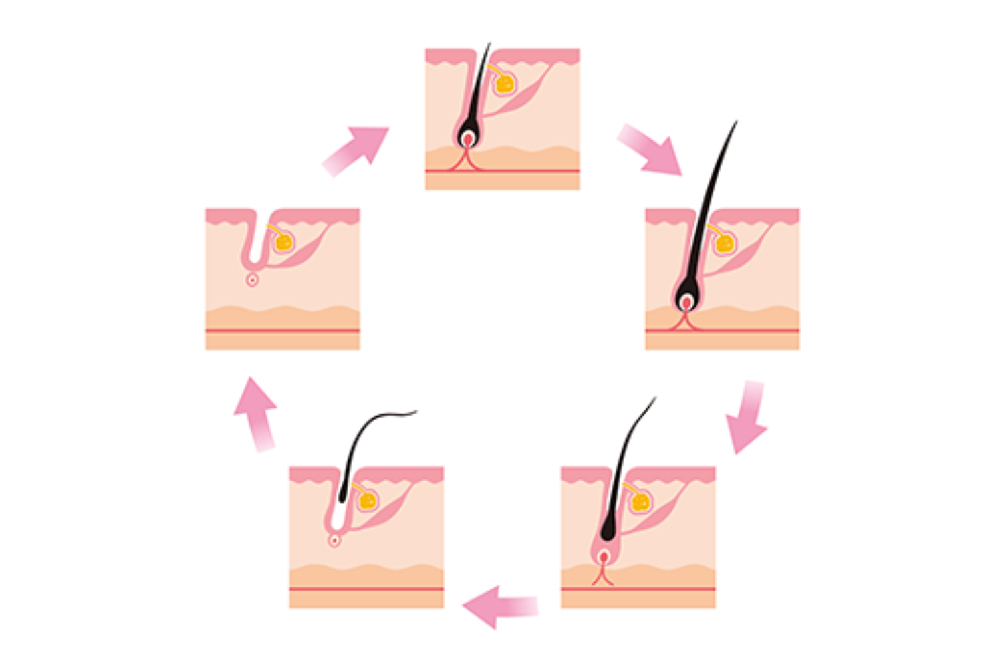 へそ毛玉 belly button lint. Day 16gorilla's bellybutton