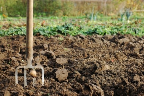 田舎暮らしで自然と暮らす！家庭菜園で自然農法の野菜作りを成功させるコツ - wakore 和の暮らしメディア