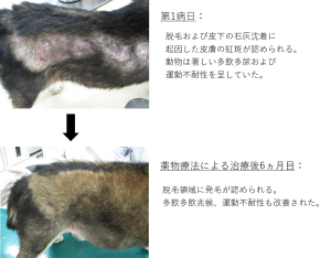 手足症候群 抗がん剤の副作用でシミができた