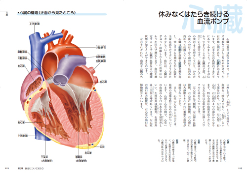 からだのしくみ事典成美堂出版