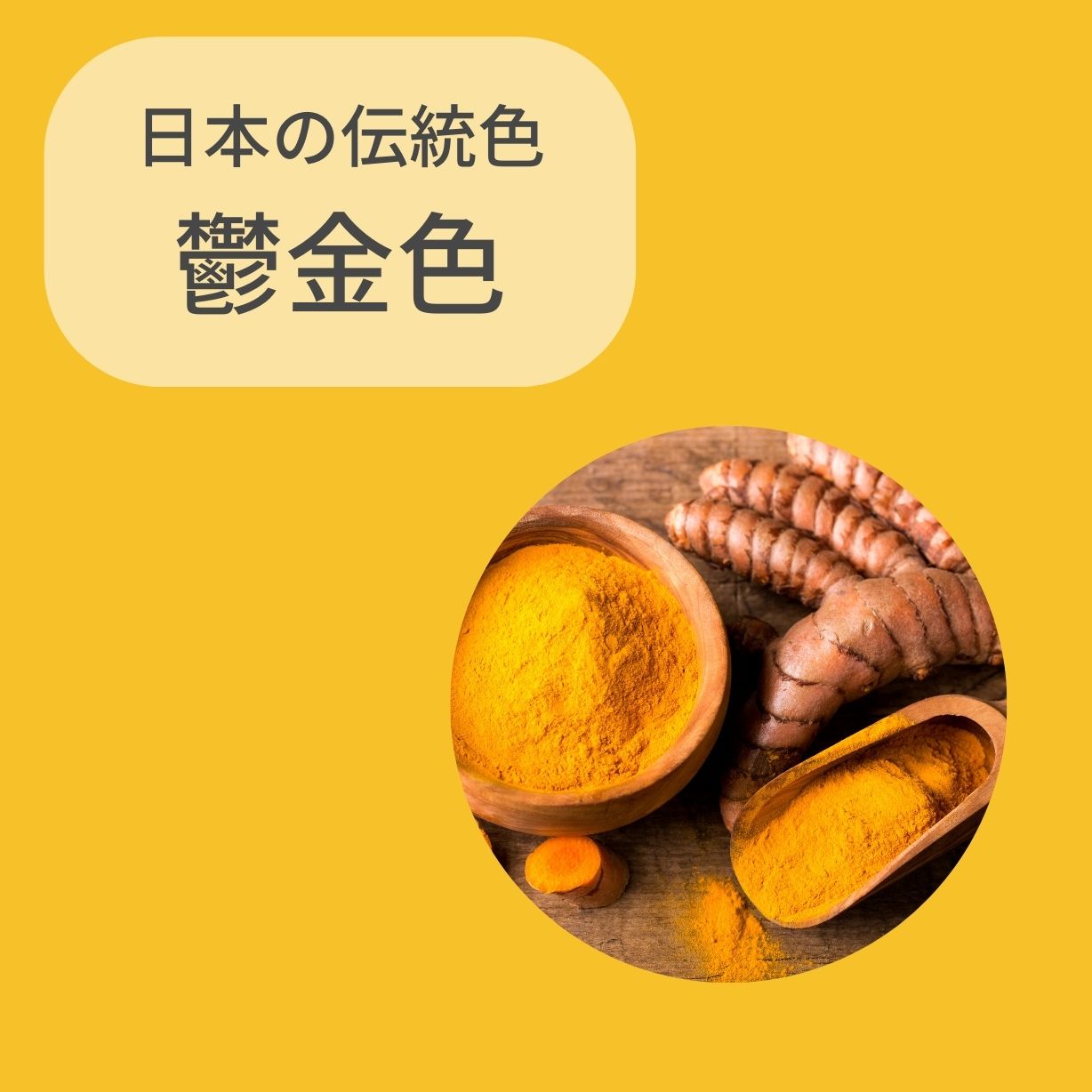 鬱金色 ウコンイロ とは？ 意味や使い方 - コトバンク