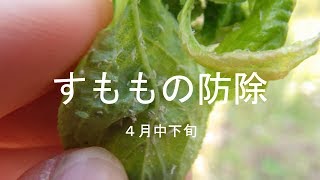 すももの防除暦農家web