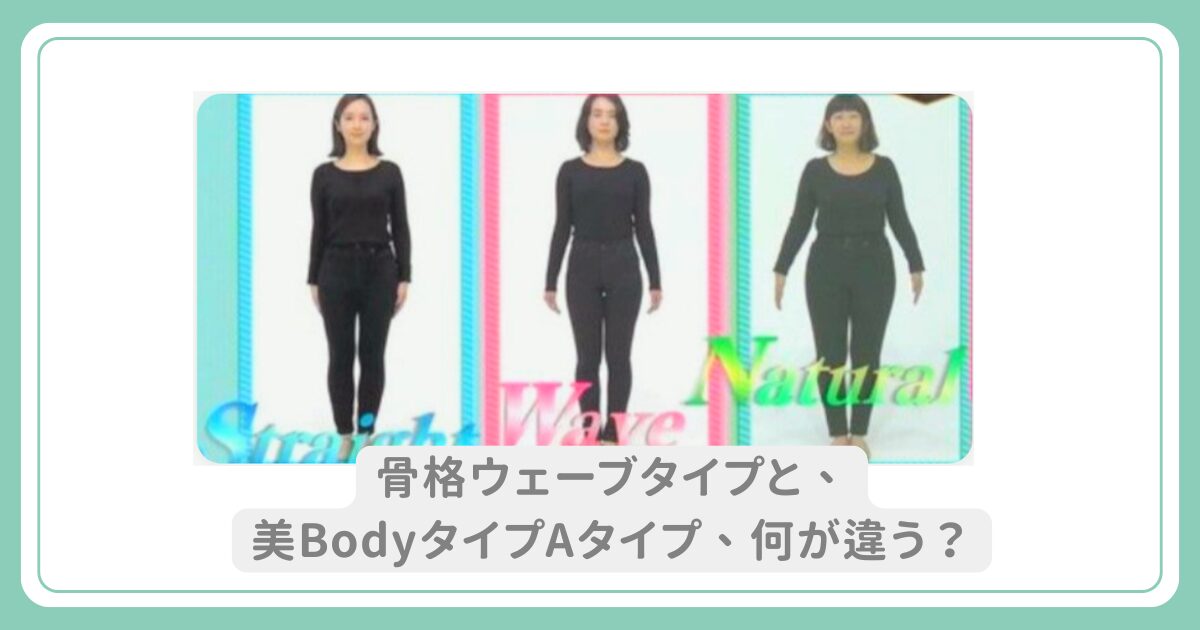 骨格ウェーブ 似合う服と特徴を解説！オススメアイテムや服選びのコツを紹介特集BAYCREW'S STORE