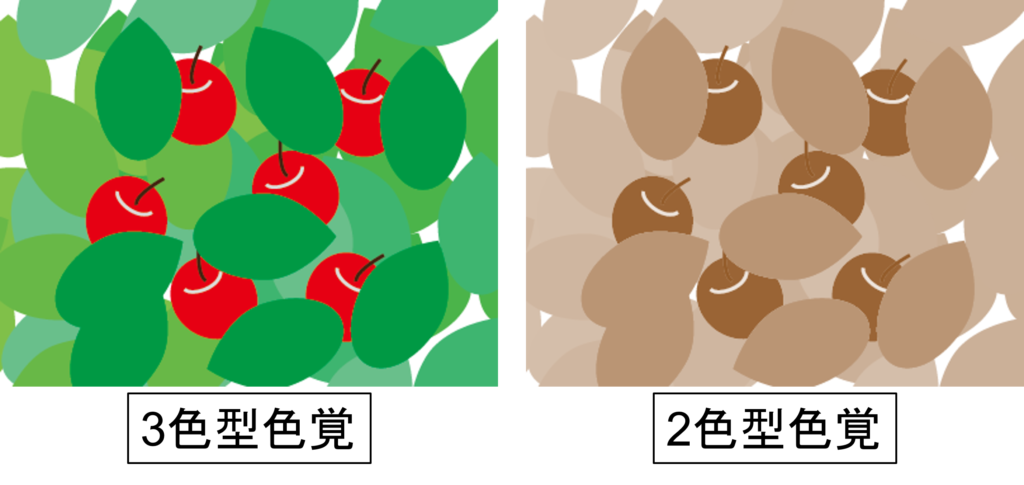 第6回 「正常色覚」が本当に有利なのかナショナル ジオグラフィック日本版サイト