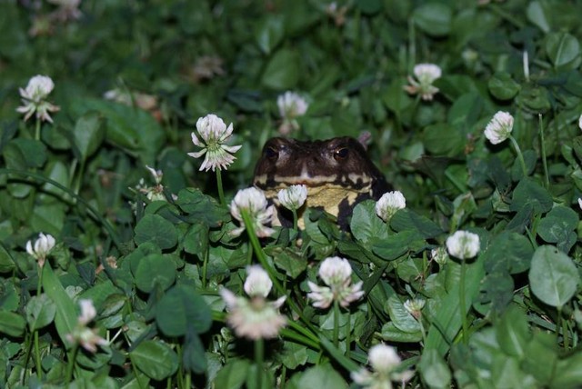 展示構成 第2章「毒の博物館」特別展「毒」 ＜オフィシャルHP＞