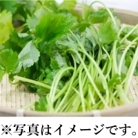野菜の知識 三つ葉 <丸果石川中央青果>
