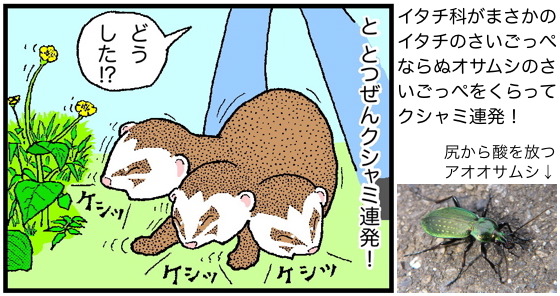 クシャミを抑える方法と面白い検証動画