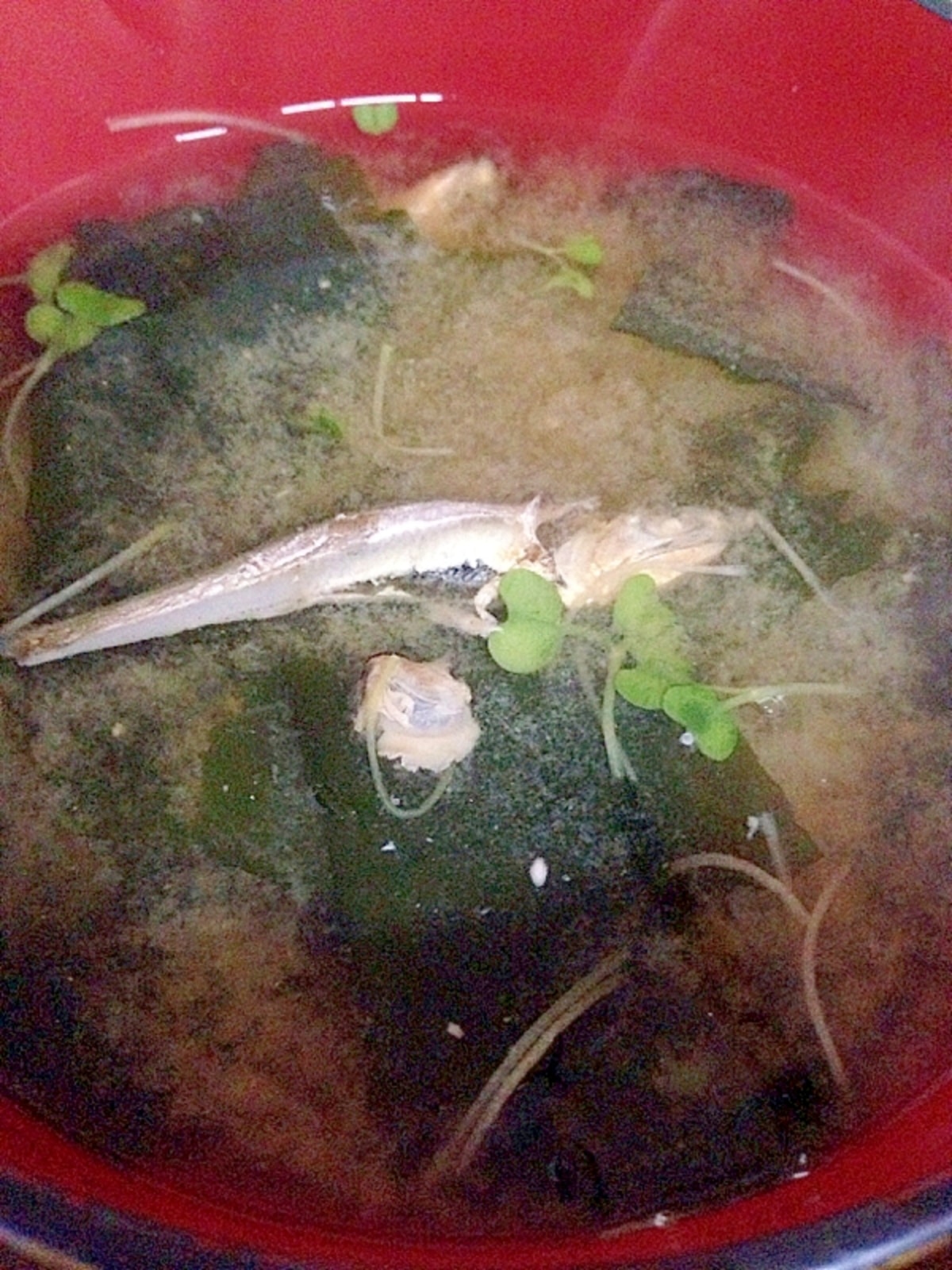 酒を飲みすぎた二日酔いを吹き飛ばすには?サプリよりもしじみの味噌汁！美噌元のコラム