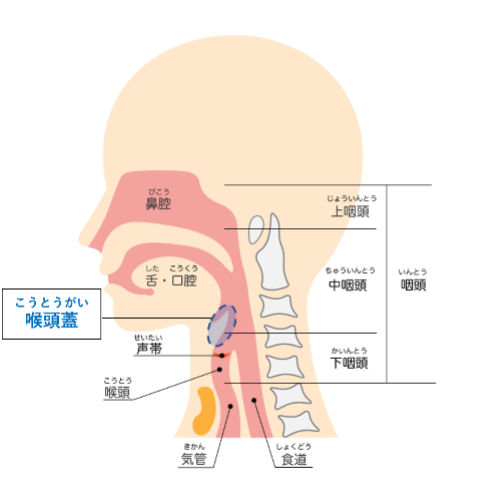 処方せんなしで病院の薬が買える薬局かぜ薬 - くすりやカホン