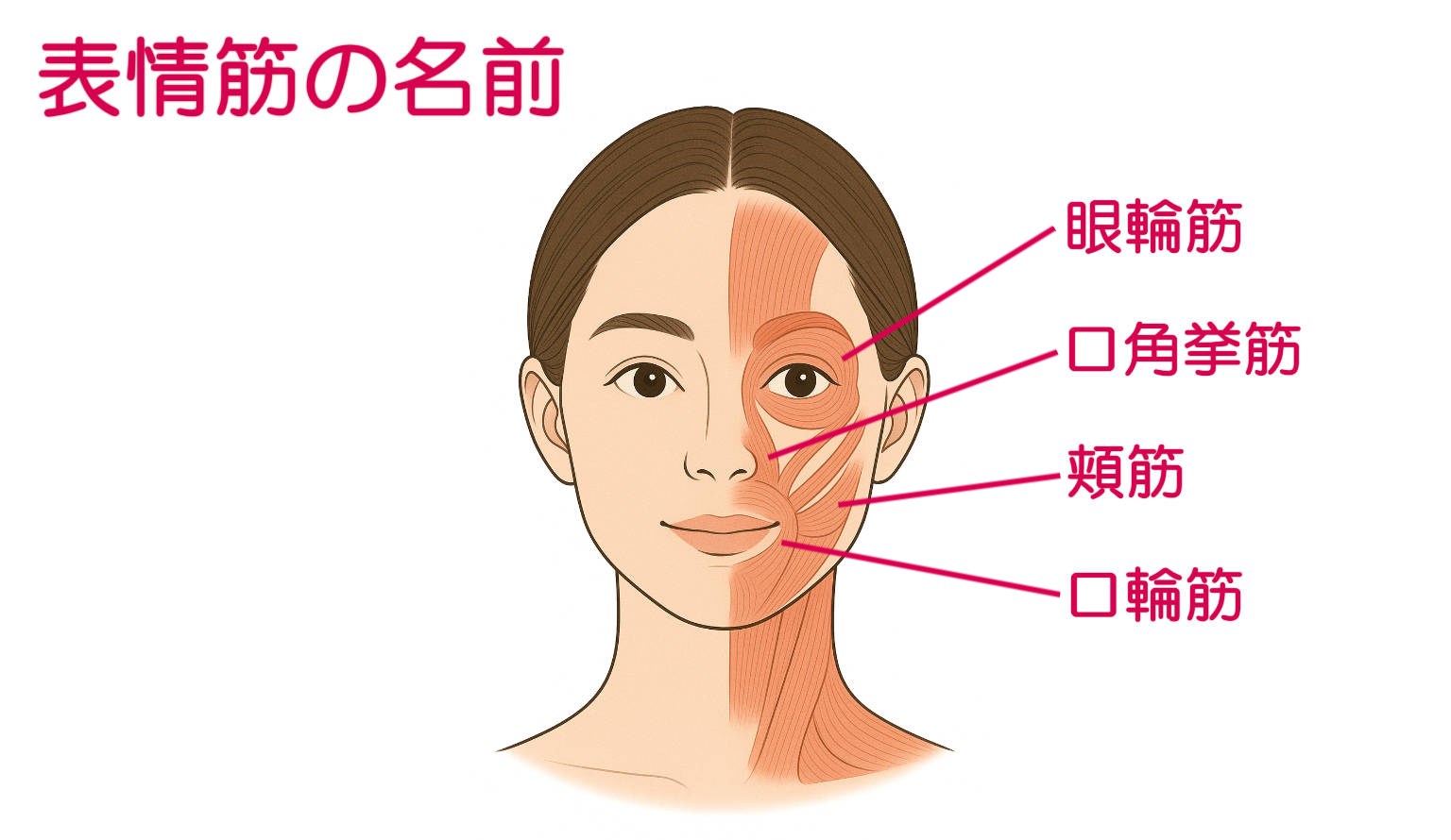 老け顔を遠ざける⁉ メイクの前にぜひやっておきたい「表情筋トレーニング」 - レタスクラブ