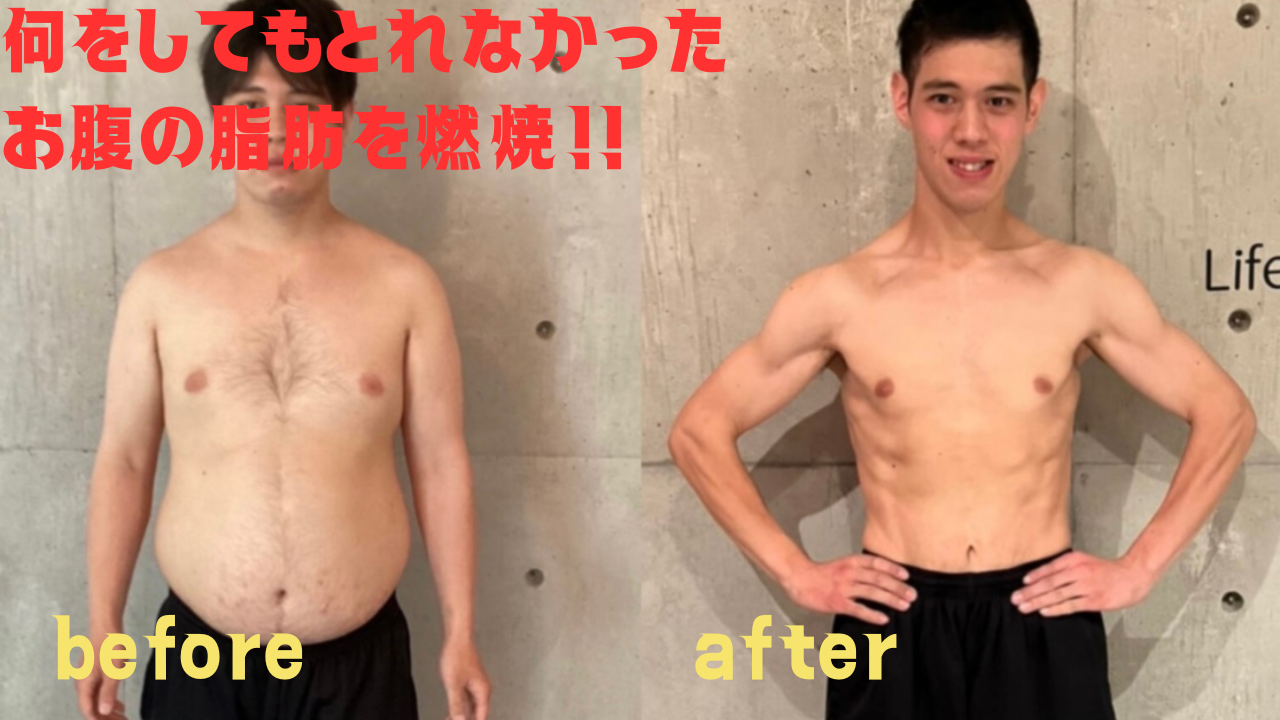 医師監修 男性ダイエットの基本「脂肪と肥満」男のためのダイエットマニュアル