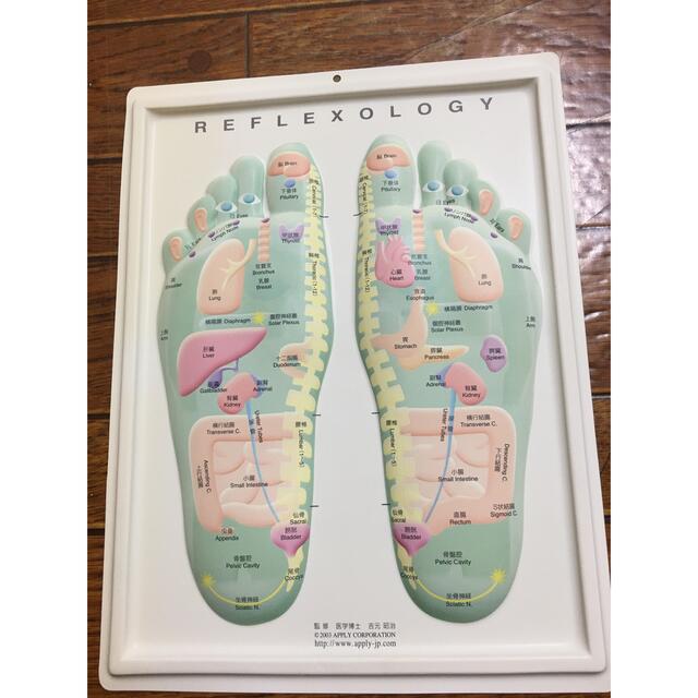 足つぼ療法太田市の岳陽堂接骨院・鍼灸院