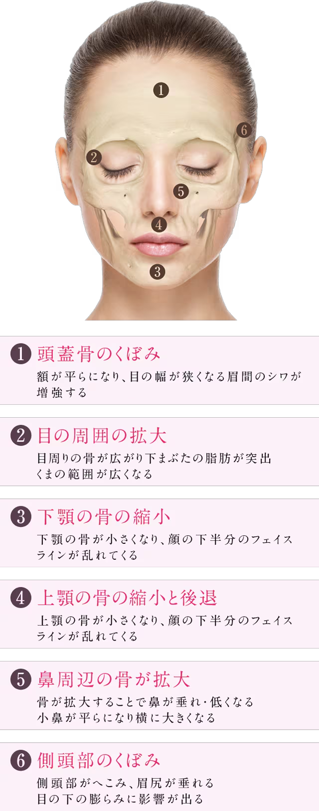 ビタミンDシリーズ 第2回「老け顔の原因は『頭蓋骨』にある！？骨の健康を保つビタミンDで、はつらつと！」UP LIFE毎日を、あなたらしく、あたらしく。Panasonic