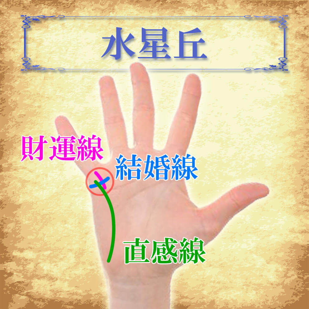 手を詠む: 月丘のスタ