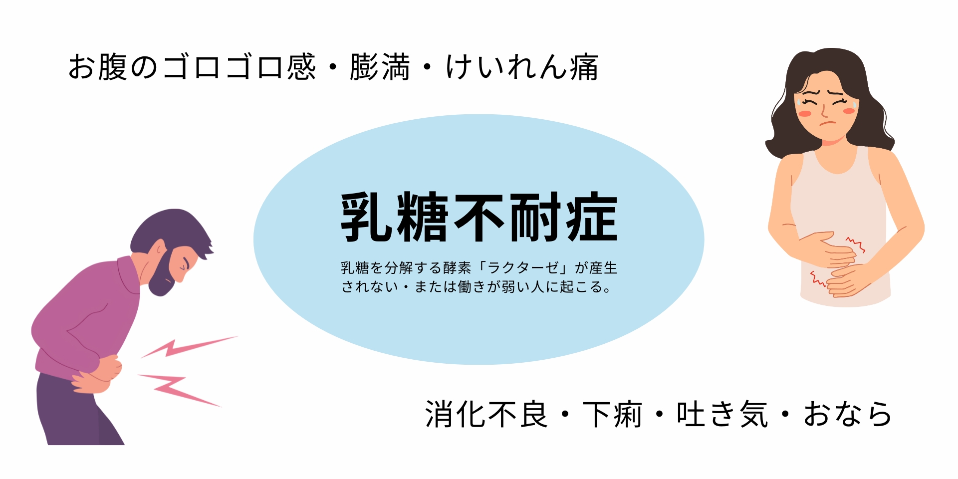 ウエイトゲイナープロテイン 3kg 3種のフレーバー 高カロリー ホエイ ホエイプロテイン 大容量 ビタミン 糖質 男性 女性 ザプロ ココアストロベリー レモン ヨーグルト バルクアップ ウエイトアップ 筋トレ 増量 筋肉増強 美味しい 太るプロテイン
