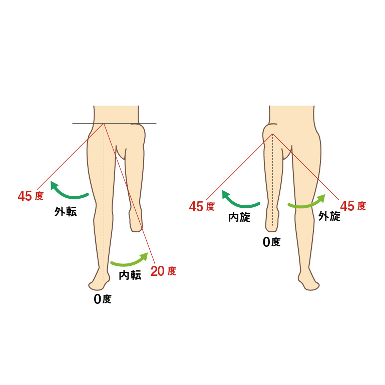 太ももの裏の筋肉 ハムストリングス のストレッチで腰痛解消 - 西東京市で首の痛み、肩こり改善なら疲労回復専門ボディチャージ