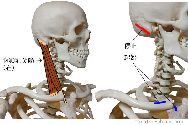 治癒処 洪福寺鍼灸療院