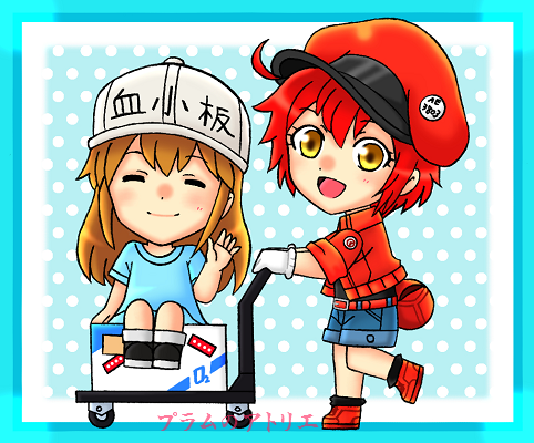 Amazon.co.jp: はたらく細胞 赤血球血小板 描き下ろしイラスト色紙 : 文房具・オフィス用品