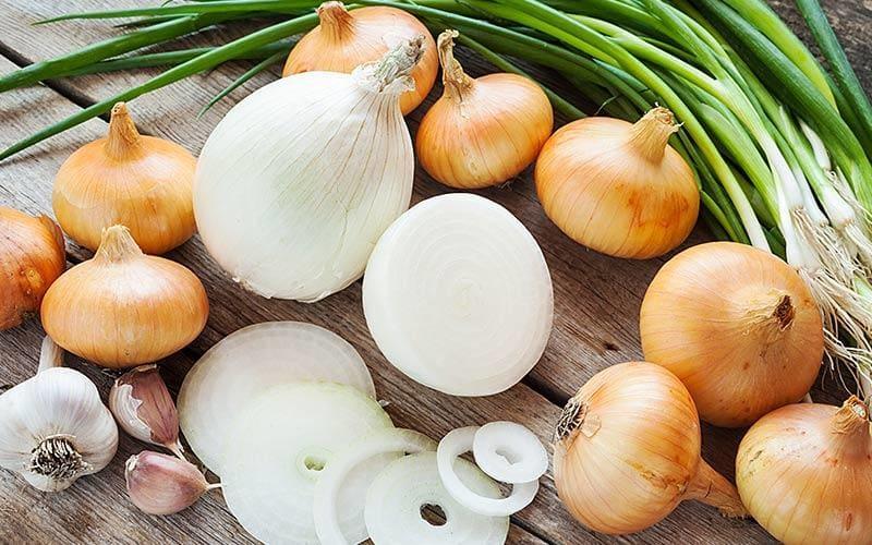 犬と猫の玉ねぎ中毒にご注意