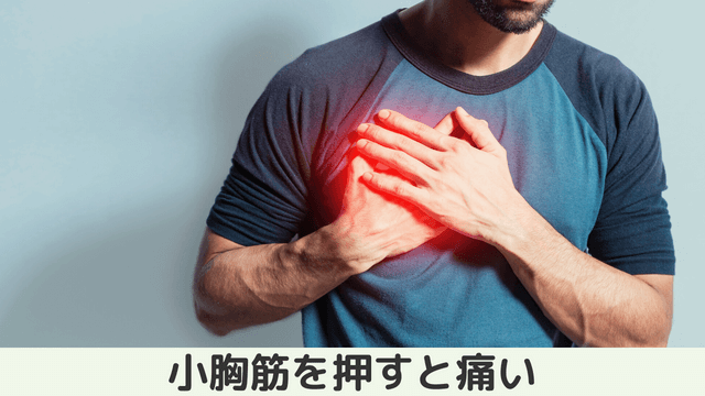 鎖骨の下が痛いのは胸郭出口症候群なの？痛みの原因と簡単なセルフケア方法を紹介 - 株式会社リハサク