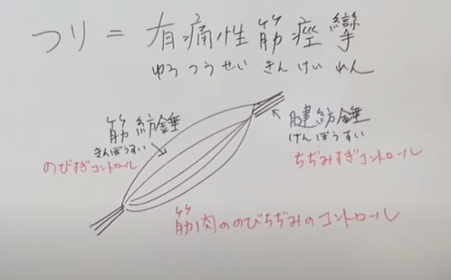 こむら返り 足がつる 大正健康ナビ大正製薬