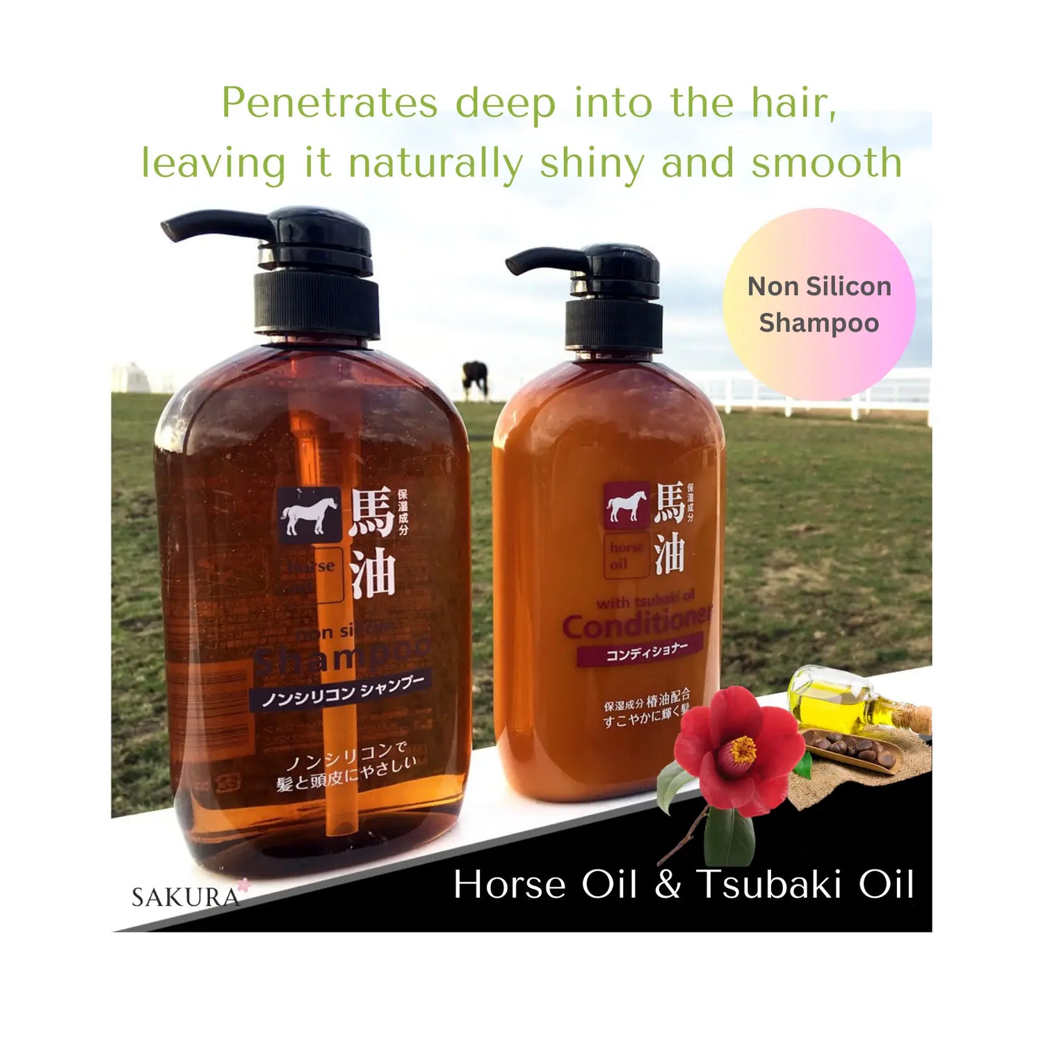 楽天市場 カラーケアシャンプー ノンシリコンの通販