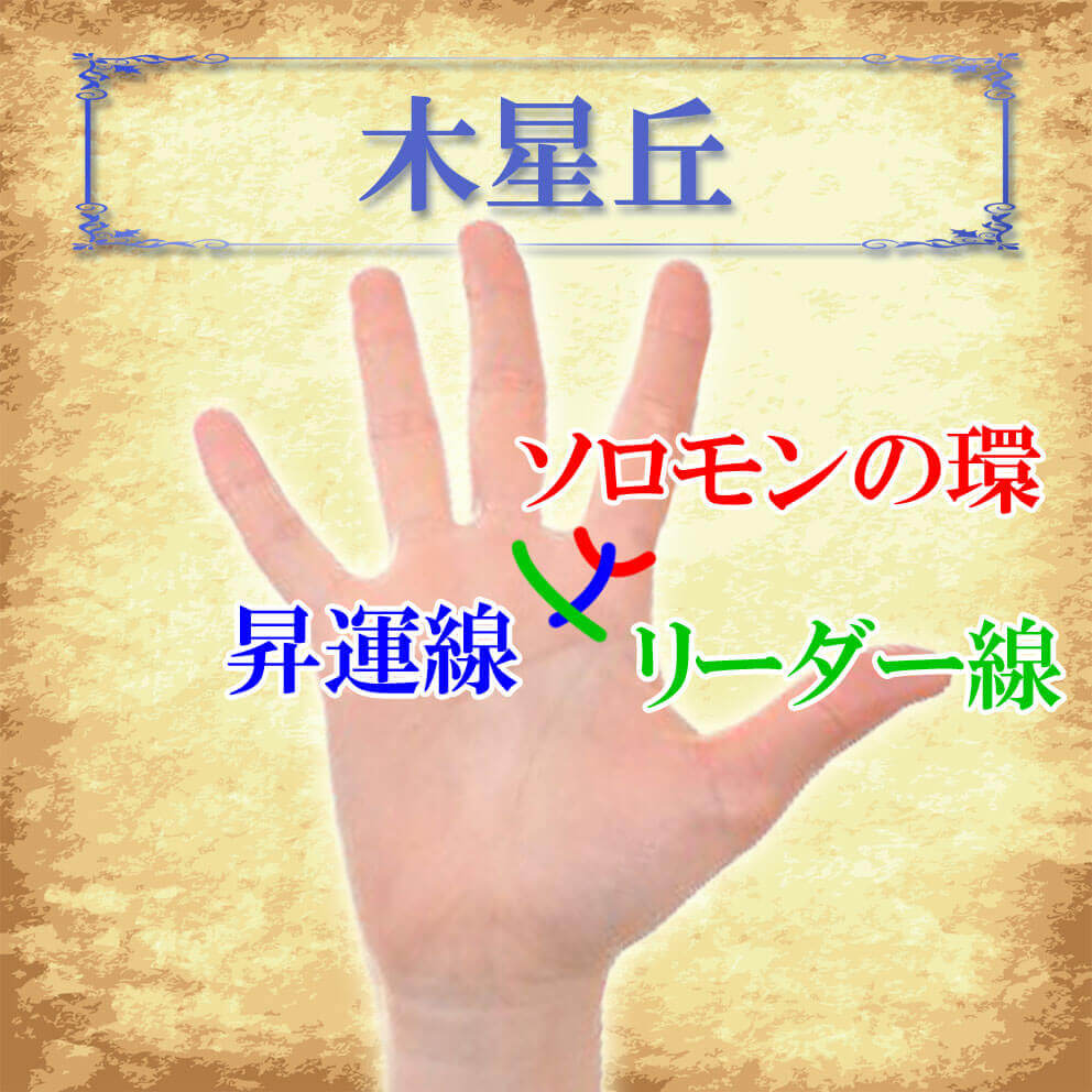 手相占い 木星丘の膨らみがないと消極的？野心や積極性を表す手相無料占い Picora