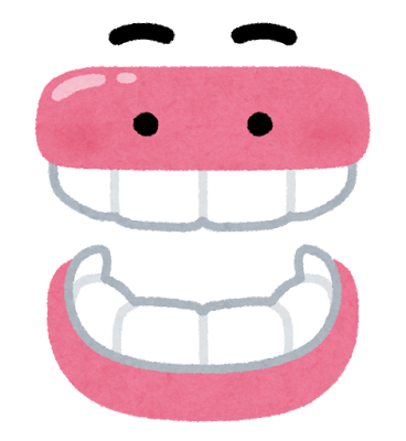 部分入れ歯 10853004827 の写真・イラスト素材アマナイメージズ