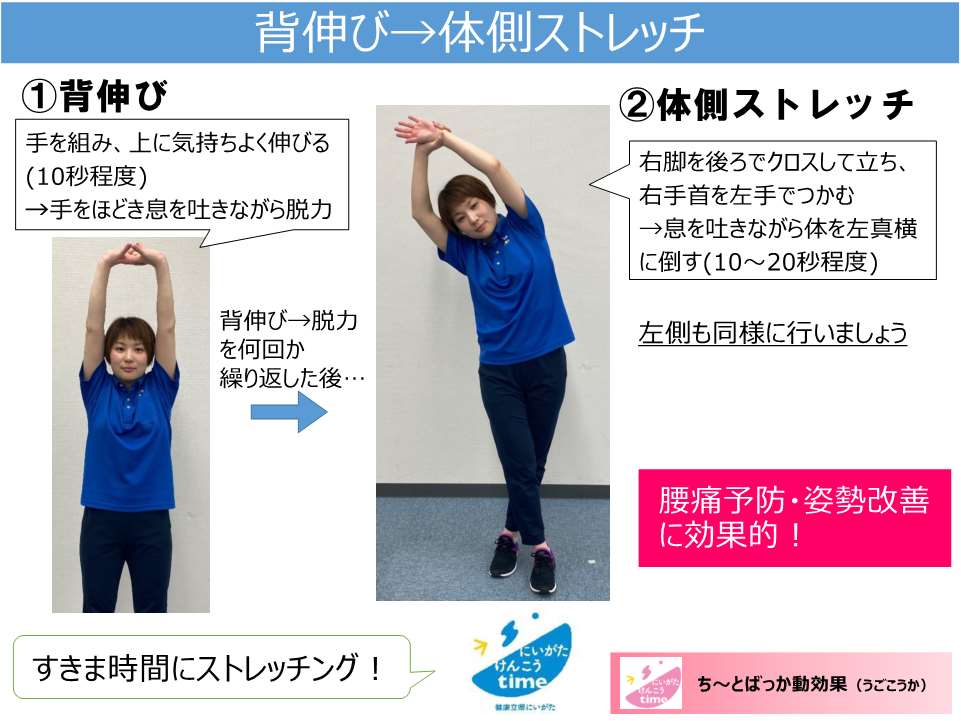 筋肉研究所 今週の窓