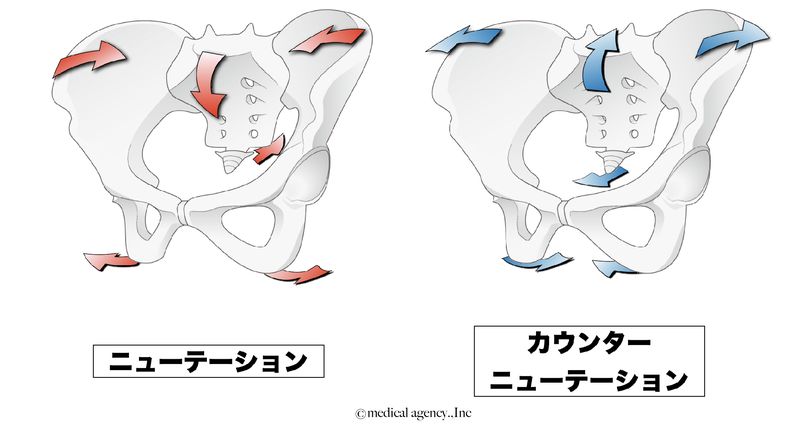 池田市で仙腸関節の痛みはおまかせ！小谷整骨院・鍼灸院