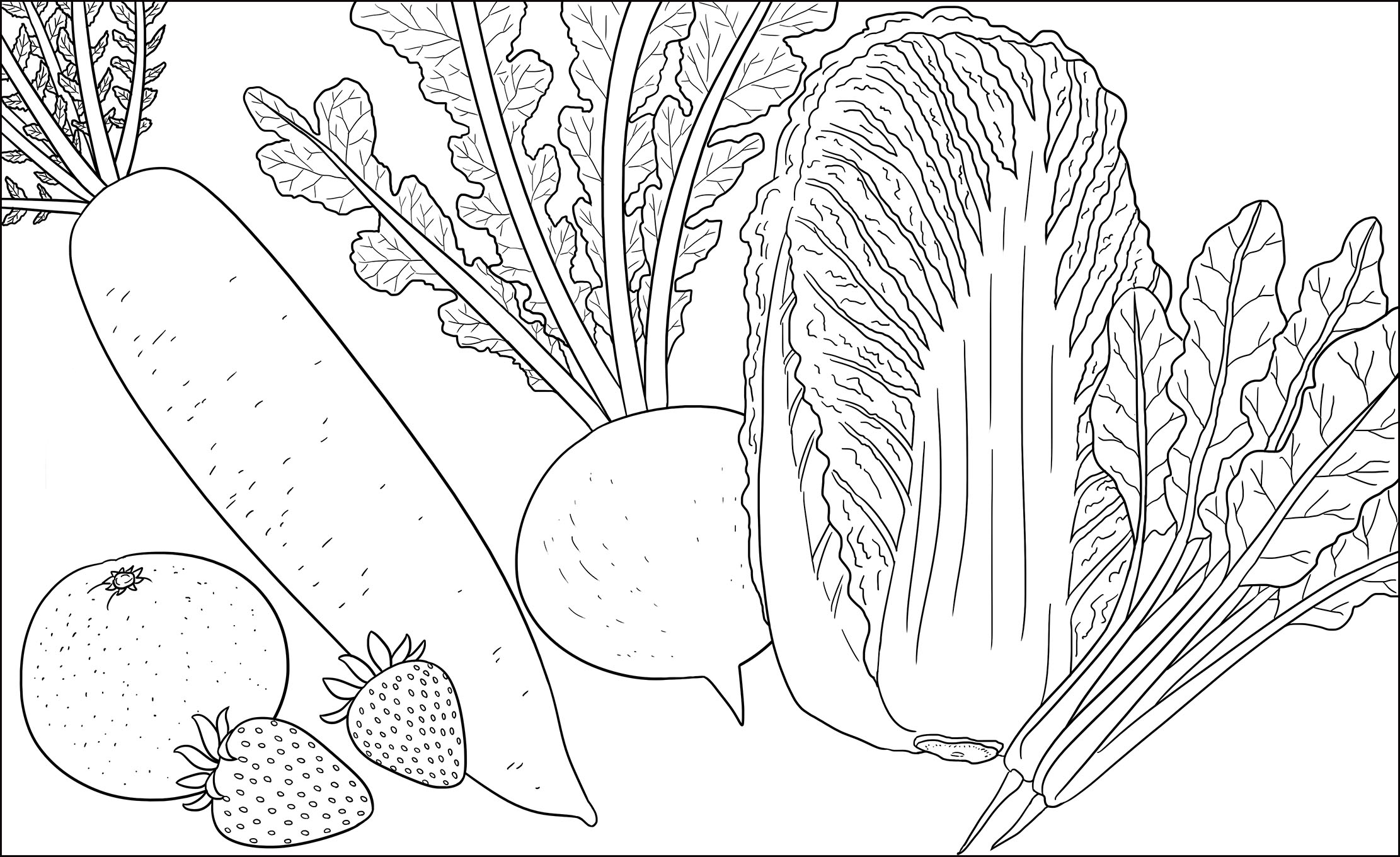 ポインセチアの塗り絵明日の介護をもっと楽しく 介護のみらいラボ 公式
