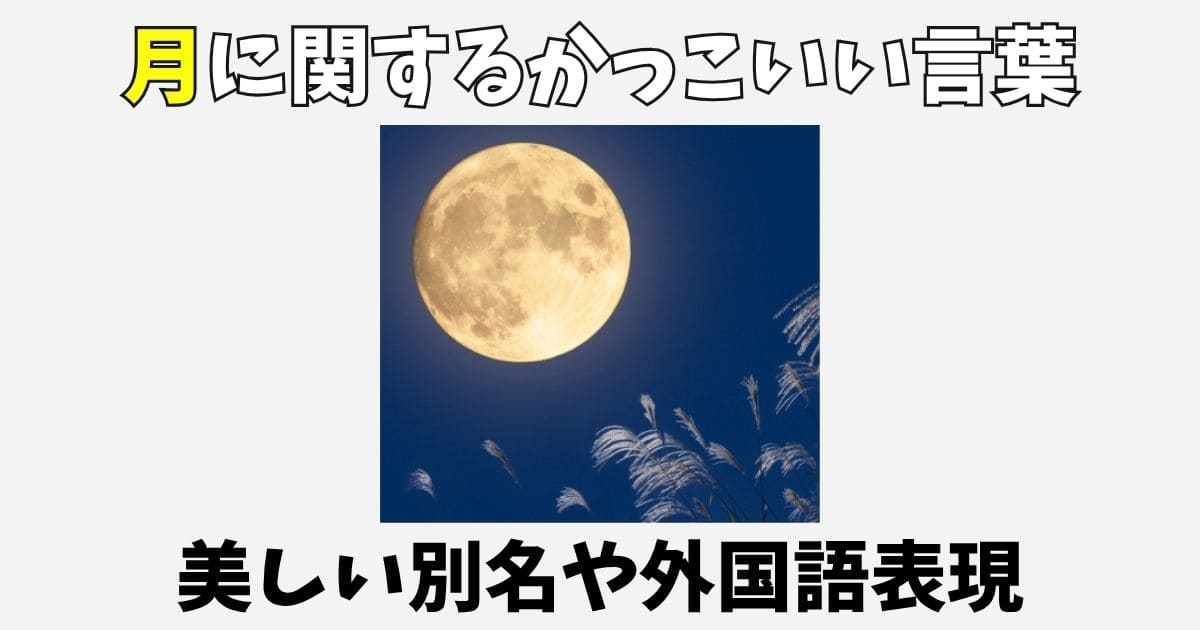 星の英語100選かっこいい＆美しい星の英単語 一覧・例文つき英単語アプリTANZAM