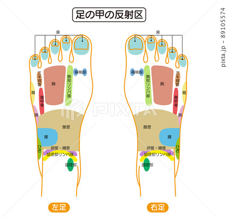 足ツボ 図解 表