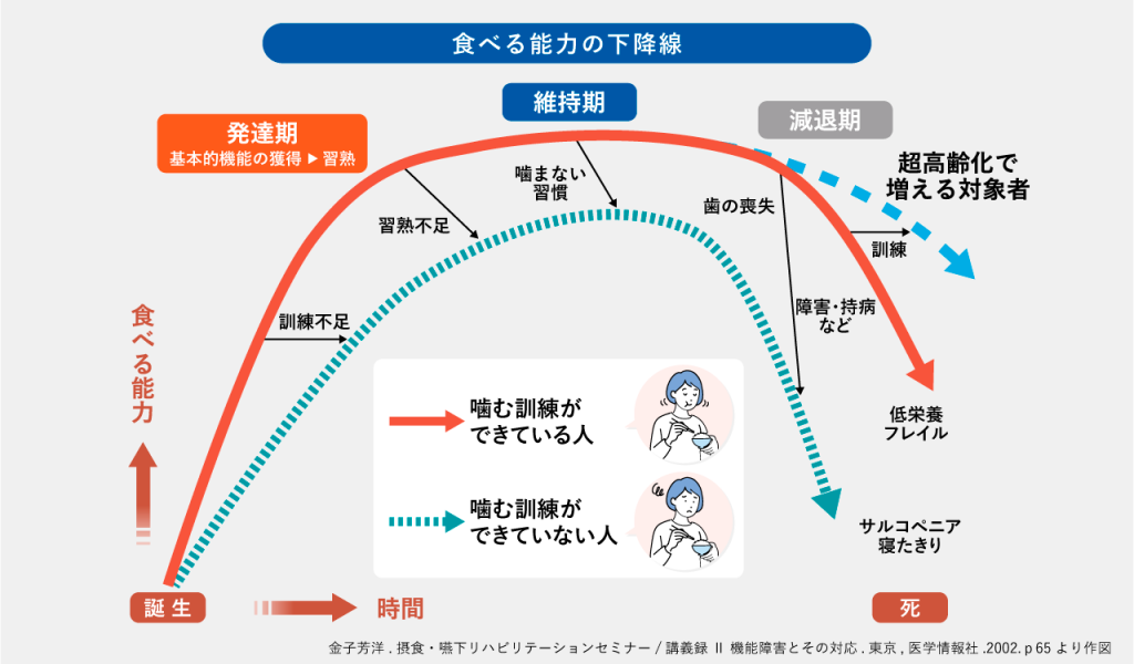 噛む力 咬合力 」がなぜ健康長寿に重要なのですか？ – 噛むこと研究室